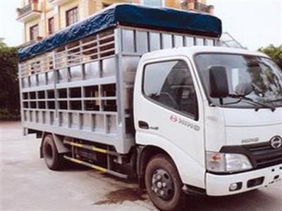 Xe tải Hino XZU650 chở lợn thùng dài 4,4m