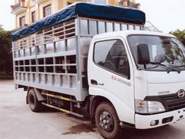 Xe tải Hino XZU650 chở lợn thùng dài 4,4m 2